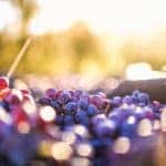 Start Training For The Birmingham Wicked Wine Run