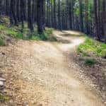 Trail Race