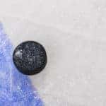 Birmingham Bulls
