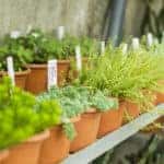 Home & Garden Show