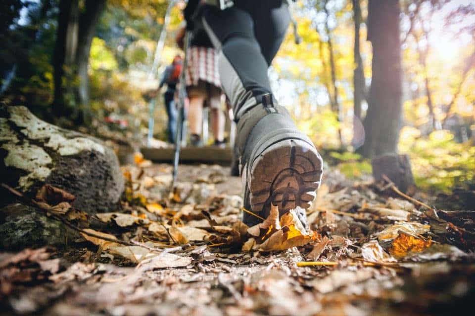 Hiker woman with trekking sticks climbs steep on mountain trail