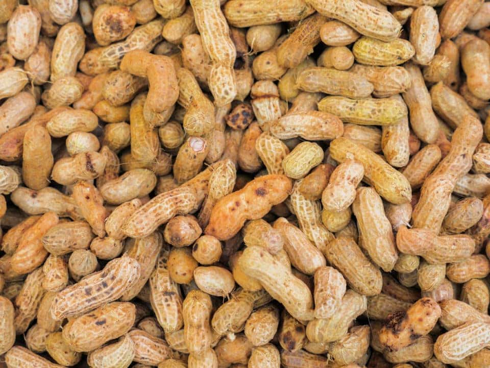 How To Make The Best Boiled Peanuts Med Center Mazda