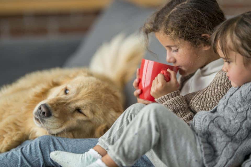 Two children and a dog sitting together on a couch drinking hot chocolate