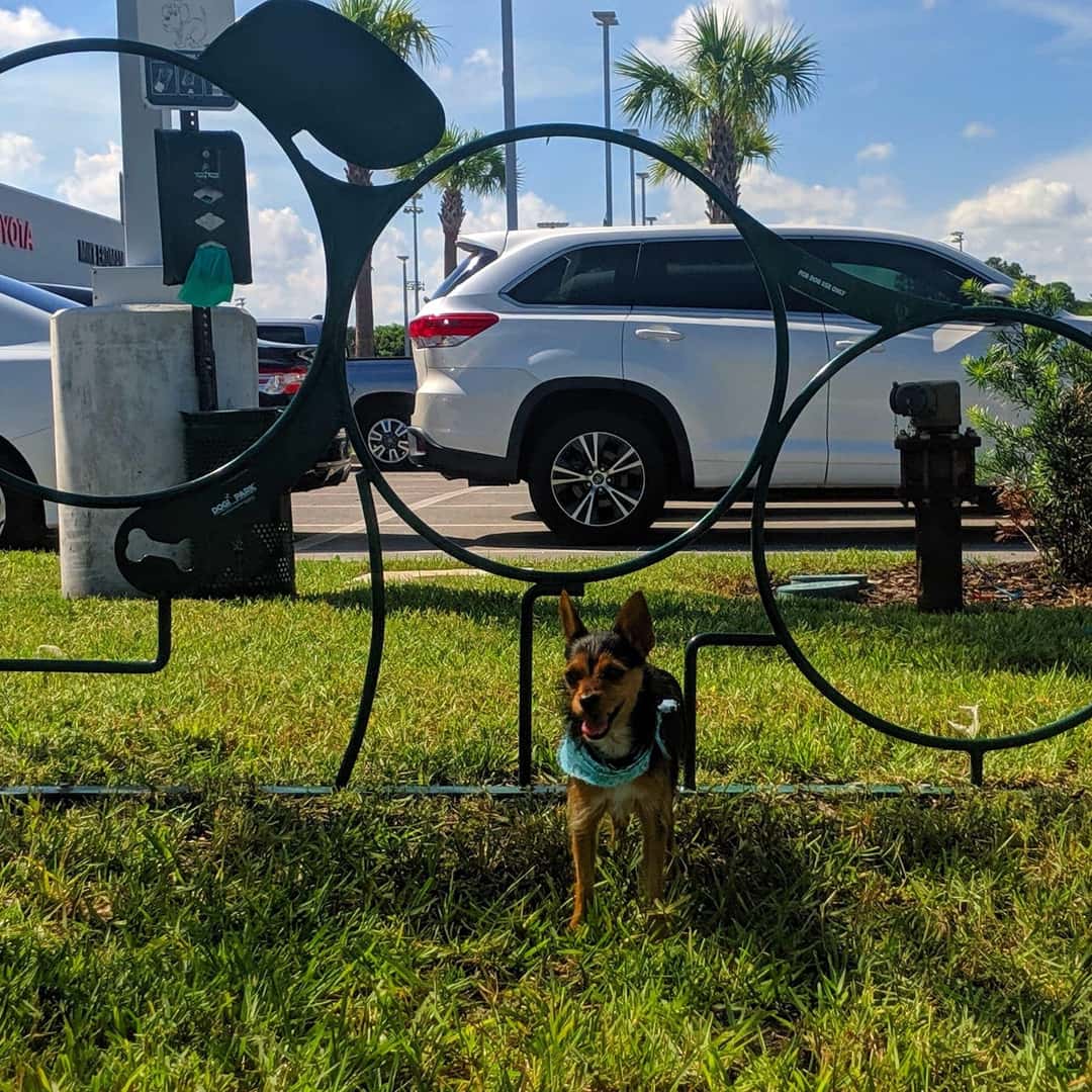 You’re Family! Mike Erdman Toyota Family Plan Mike Erdman Toyota