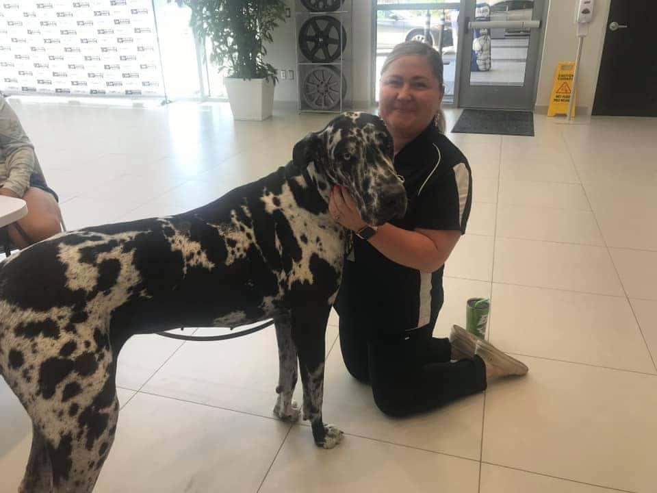 You’re Family! Mike Erdman Toyota Family Plan Mike Erdman Toyota