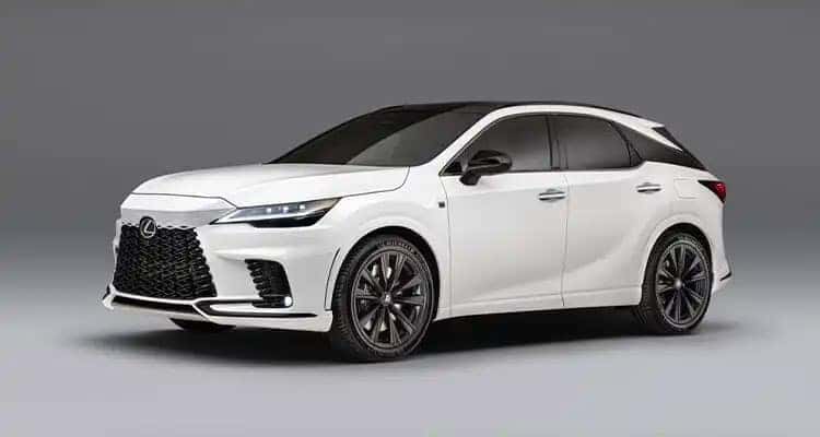 2025 Lexus RX 350 photo 8