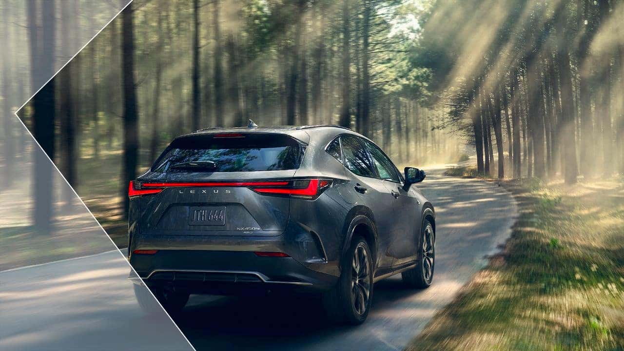 2024 Lexus NX350 Performance