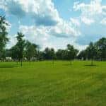 a field in an outdoor park