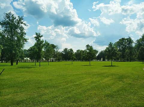 a field in an outdoor park