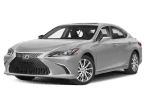 ES 2019 Model