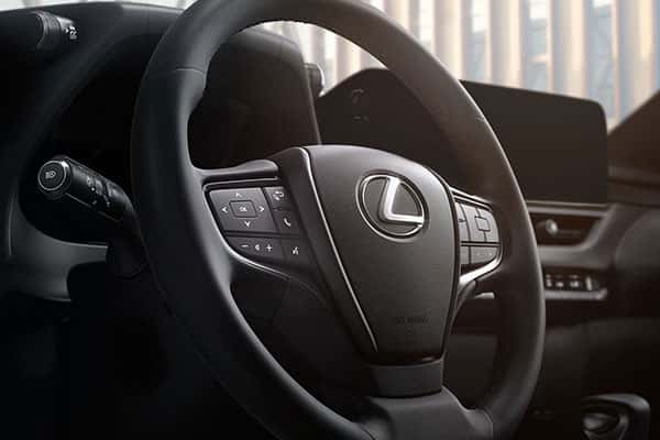 2025 Lexus UX 300h F SPORT exterior view