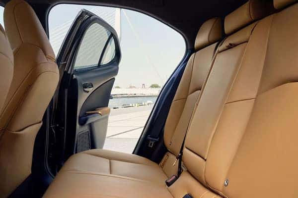 2025 Lexus UX Driving