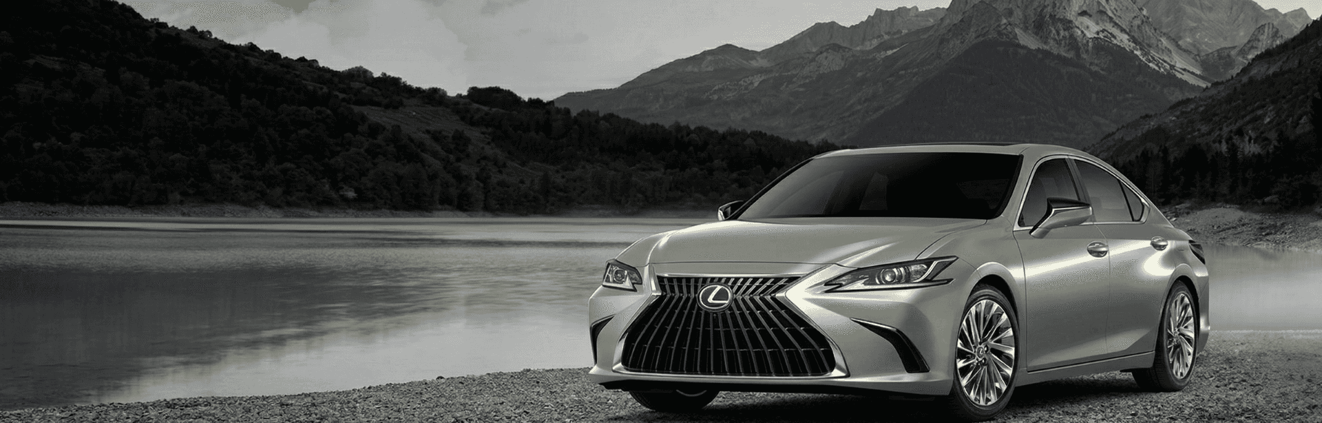 Lexus - Nx - 2026