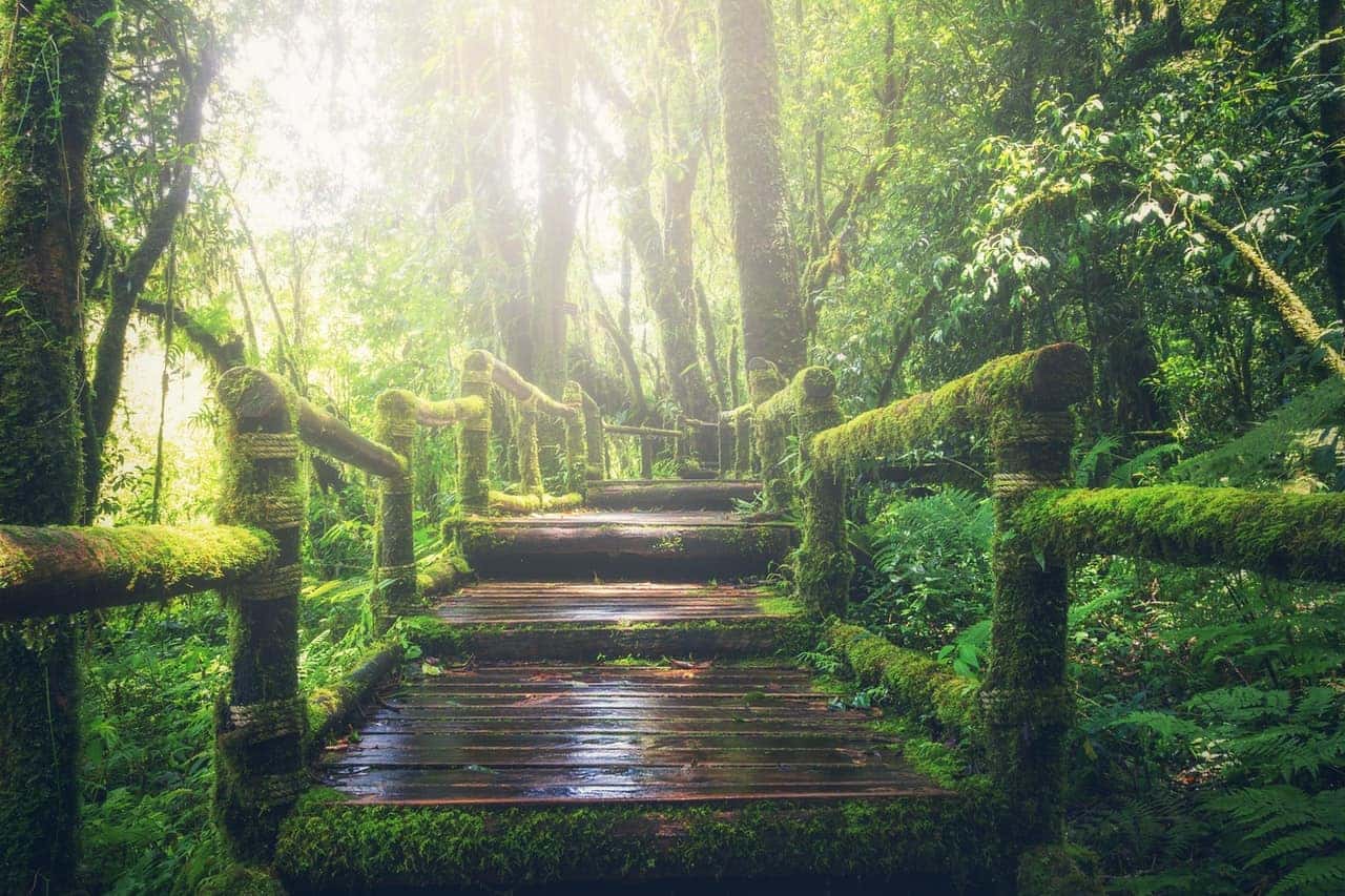 Park Trail