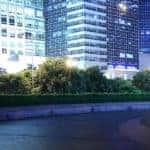 City night