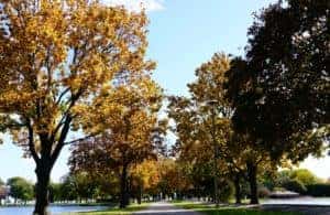 Safe Driving Tips for the Fall