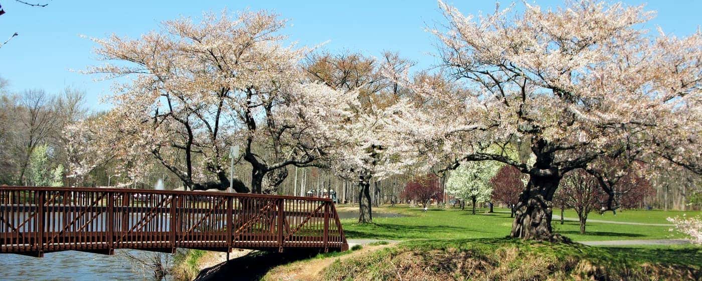 New Jersey State Parks Ray Catena Lexus, Oakhurst, NJ