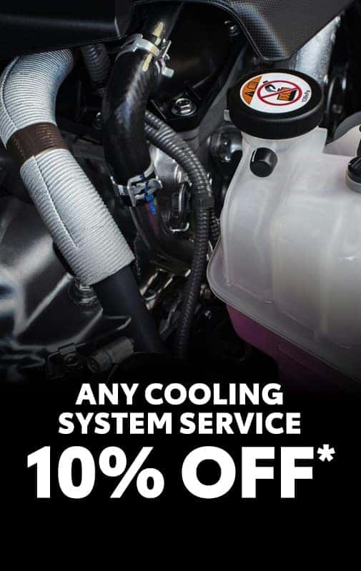 Cooling System Service