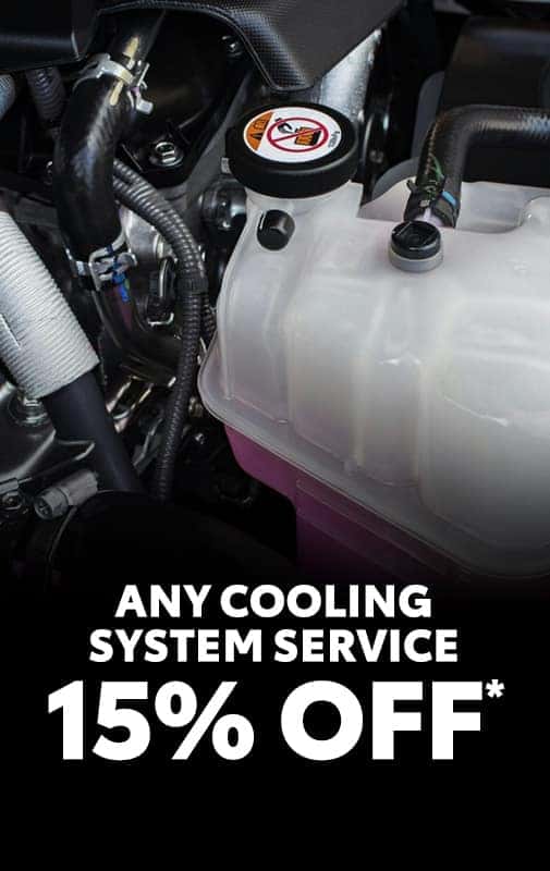 Cooling System Service