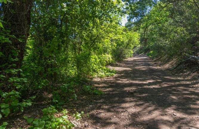 Spring road