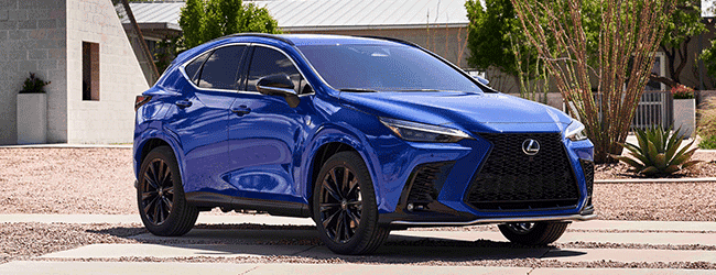 2025 Lexus NX in Doylestown, PA