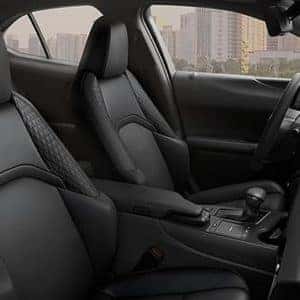2020 Lexus UX Black Leather Exterior