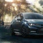 2020 Toyota Corolla in Nature