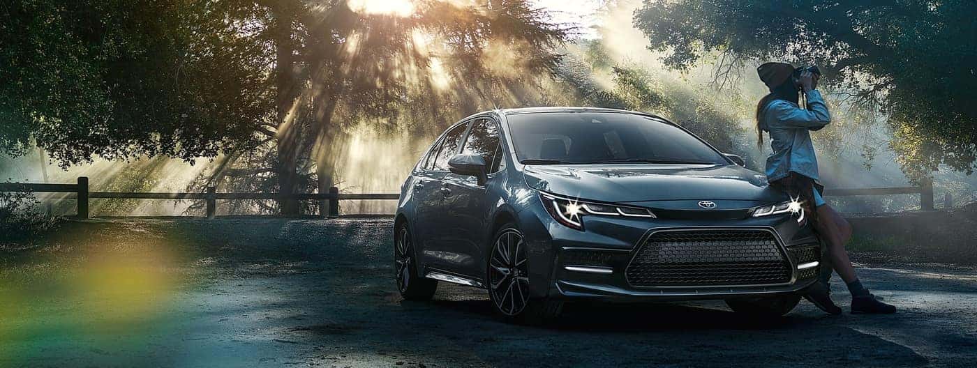 2020 Toyota Corolla in Nature