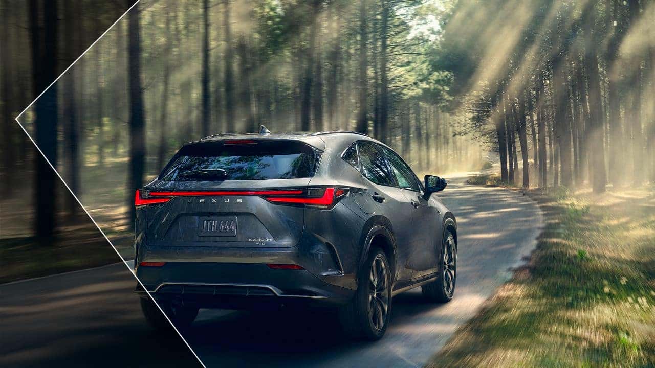 2024 Lexus NX350h Performance